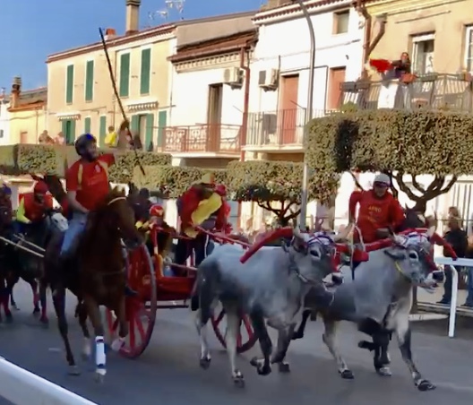The “Carrese”, The Ox Cart Race of San Martino in Pensilis.